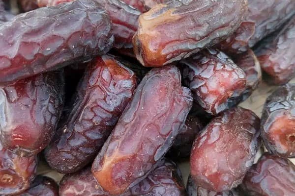 تصویر 1 از خرید خرما درشت صادراتی + قیمت فروش استثنایی